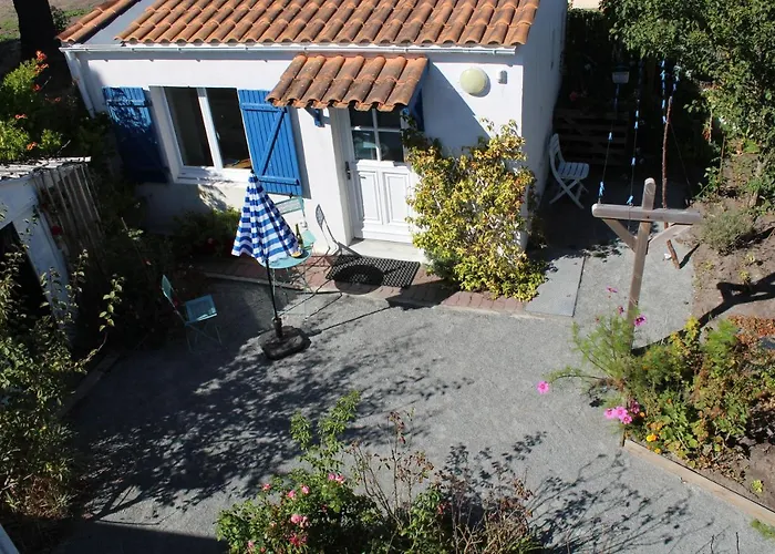 Petit Studio Cypres Du Bois