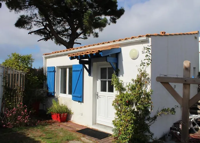 Petit Studio Cypres Du Bois