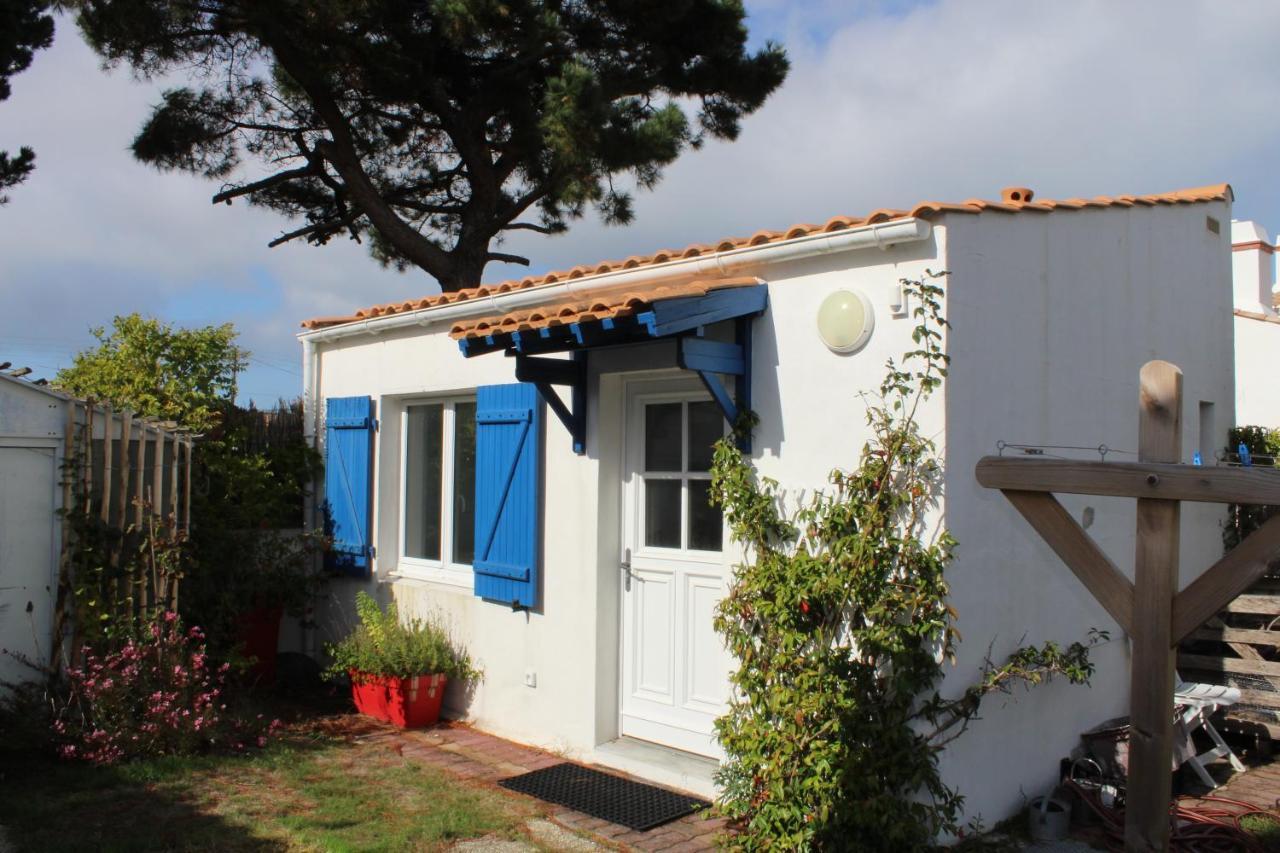Petit Cypres Du Bois *
